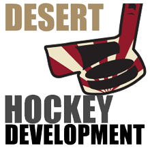 DesertHockeyDevelopment-WebIcon