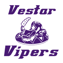 VestarVipersWebIcon